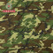 Woodland  Camouflage 100% Nylon Backpack Fabric with Waterproof for Military Supplier