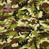 Ethiopia CVC 50/50 Ripstop Camoflage Fabric with Teflon for Military Apparel Supplier