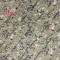 1000D Nylon Woodland Digital Camo Synthetic Fabric for Army Backpack Supplier