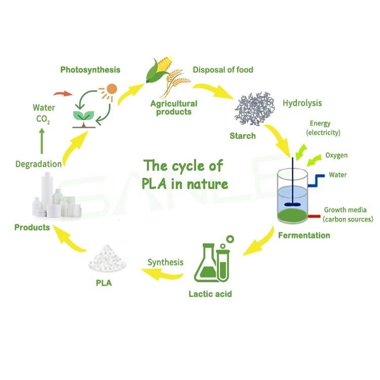 What is PLA?