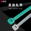 尼龙反齿扎带