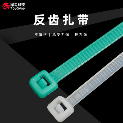尼龙反齿扎带