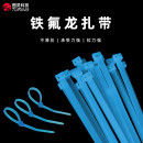 铁氟龙高温扎带