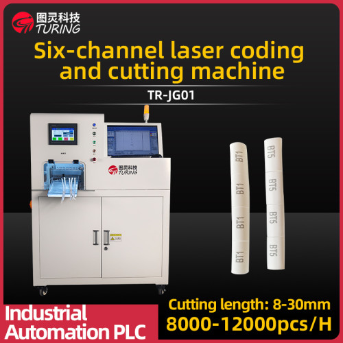 TR-JG01 Six channel laser coding and cutting tube machine cut pipe machine with laser printing