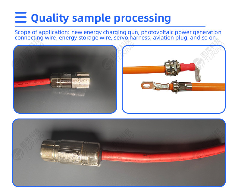 TR-LM02 Large torque double-station nuts crewing machine