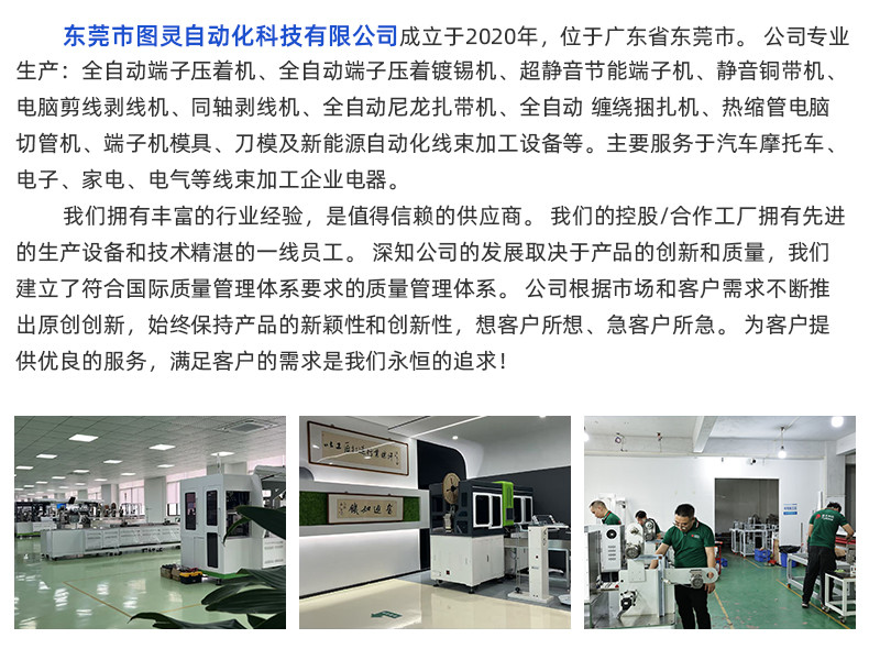 TR-GD03高端双头端子机（欧式模具）