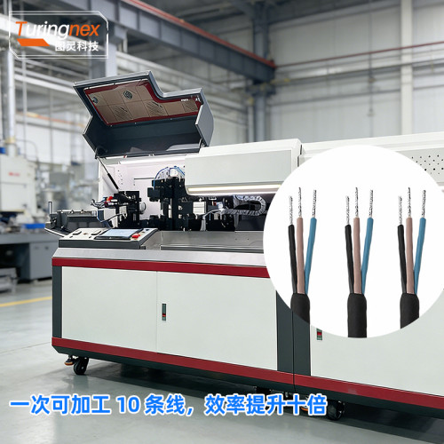 TR-YH01 全自动护套线双头沾锡机