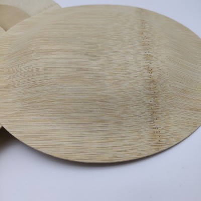 Natural And Disposable Bamboo Veneer Plate Eco-Friendly Plates - Elegant, Compostable and Biodegradable