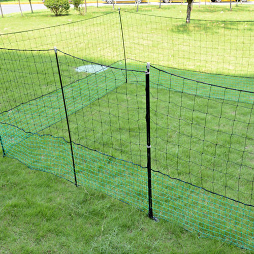 24M grünes Plastikgeflügelnetz für Bauernhof, sicherer Geflügelnetzzaun für Hühner, PE-Hühnernetz mit Masche