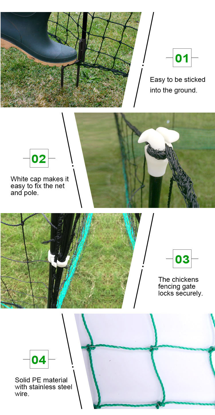 hps fence Electric Chicken Netting