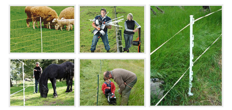 Electric Fence Posts