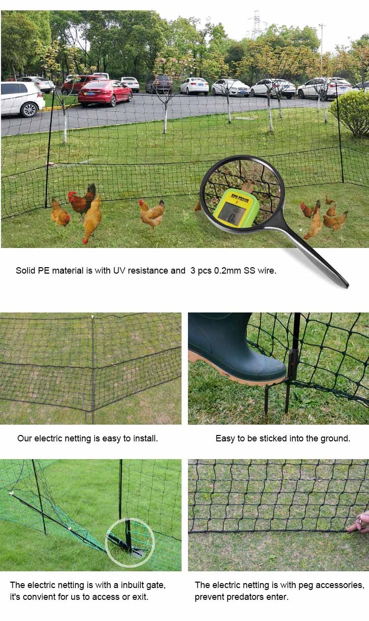 1.2*50M Portable Sheep Electric Poultry Netting Kit, Electric