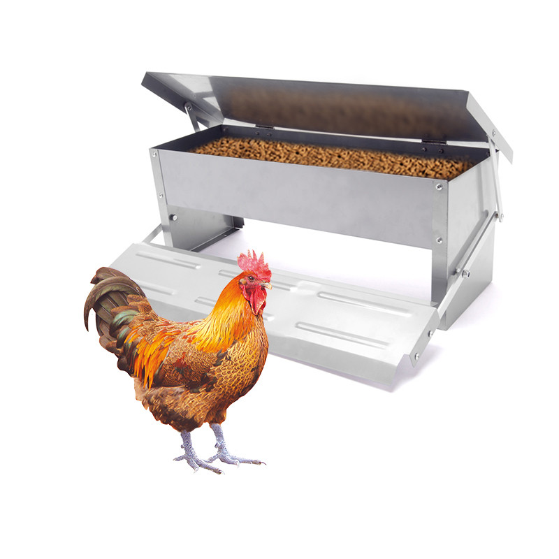 hps fence automatic chicken feeder