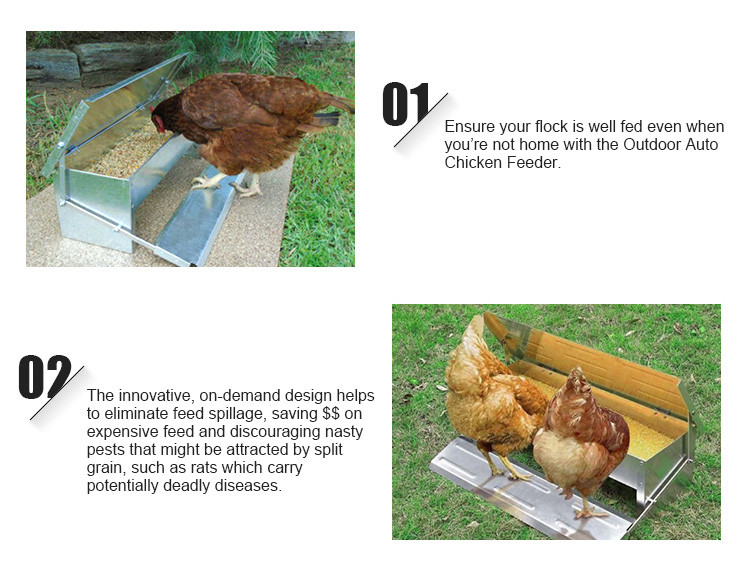 hps fence automatic chicken feeder