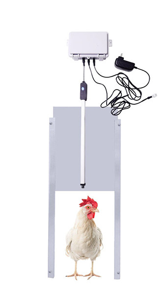 Puerta automática de gallinero de 110 V-240 V con actuador, kit de apertura automática  de gallinero con mecanismo de seguridad, motor de actuador de controlador de  temporizador para exteriores a prueba de
