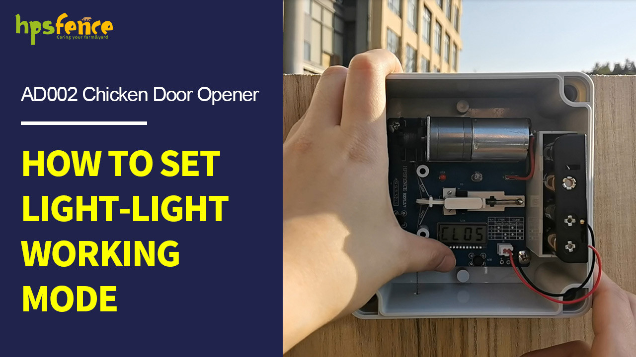 Как установить автоматический открыватель двери для кур AD002 HPS Fence в режим работы Light-Light