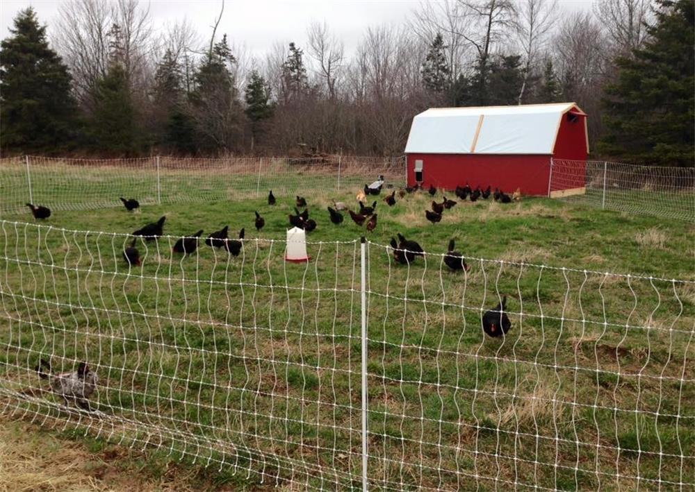 the common reasons why the electric fence does not work and how to check it