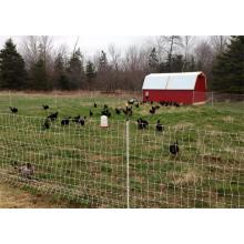 Equipment needed for poultry farming