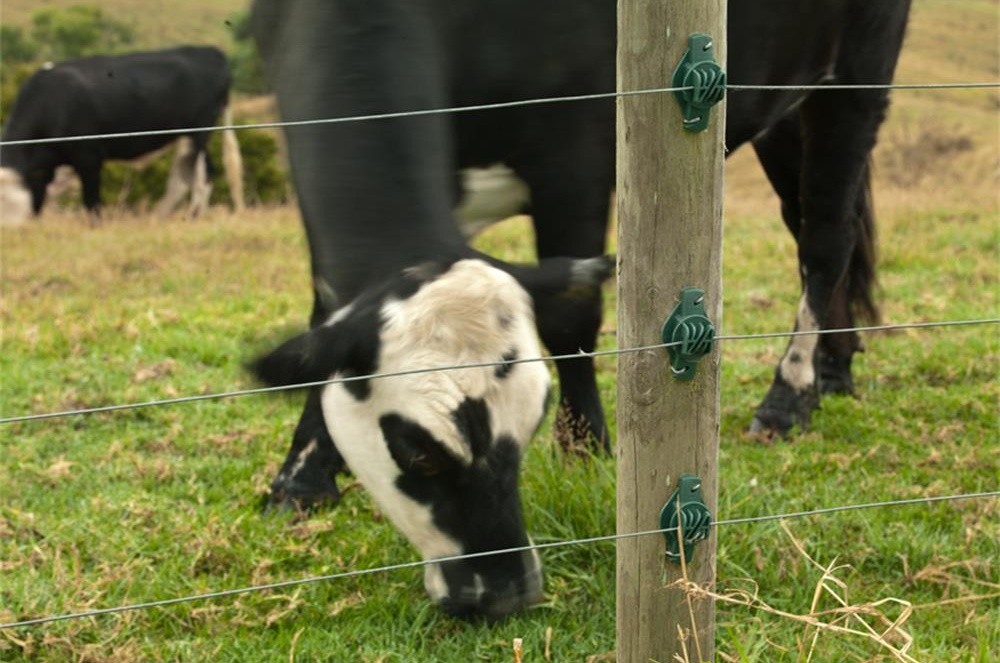 the steps to install the electric fence