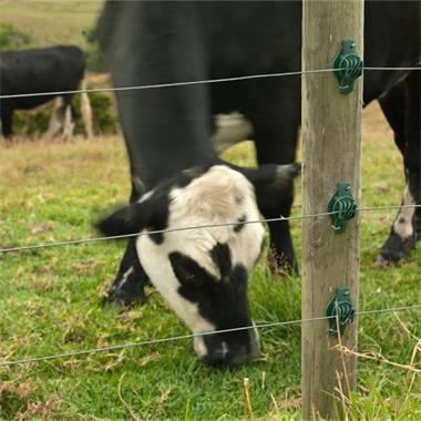 Como instalar a cerca elétrica?