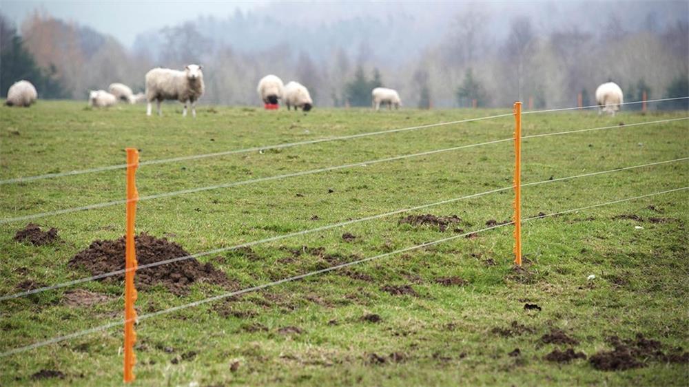 the common reasons why the electric fence does not work and how to check it