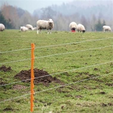The Reasons and Inspection Methods for Electric Fences Not Working