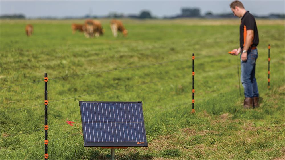 the maintenance for the electric fences