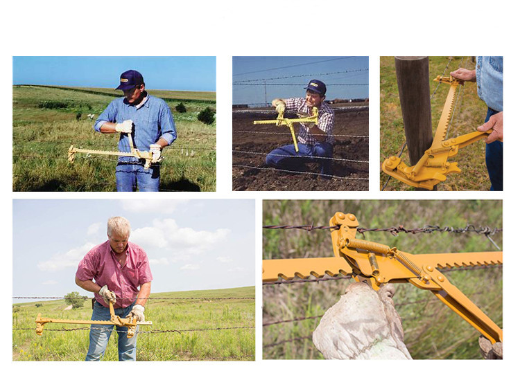 some specific methods and steps for diagnosing electric fence