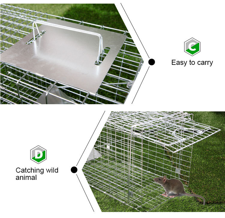 HPS Fence mouse trap