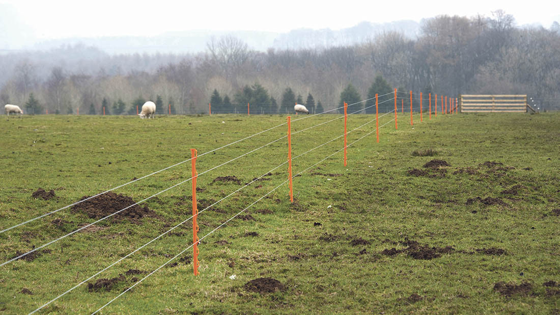 a complete guide for choosing the right electric fence supplies
