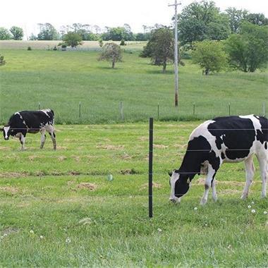 How to Make the Electric Fence Play the Best Operating State?