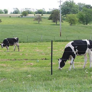 How to Make the Electric Fence Play the Best Operating State?