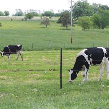 How to Make the Electric Fence Play the Best Operating State?