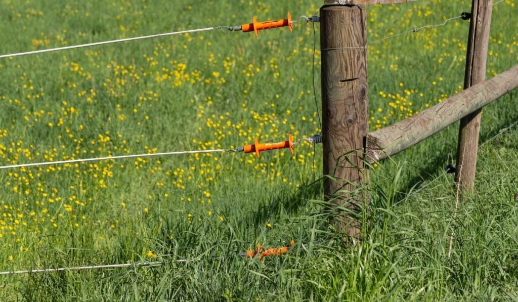 a complete guide for choosing the right electric fence supplies