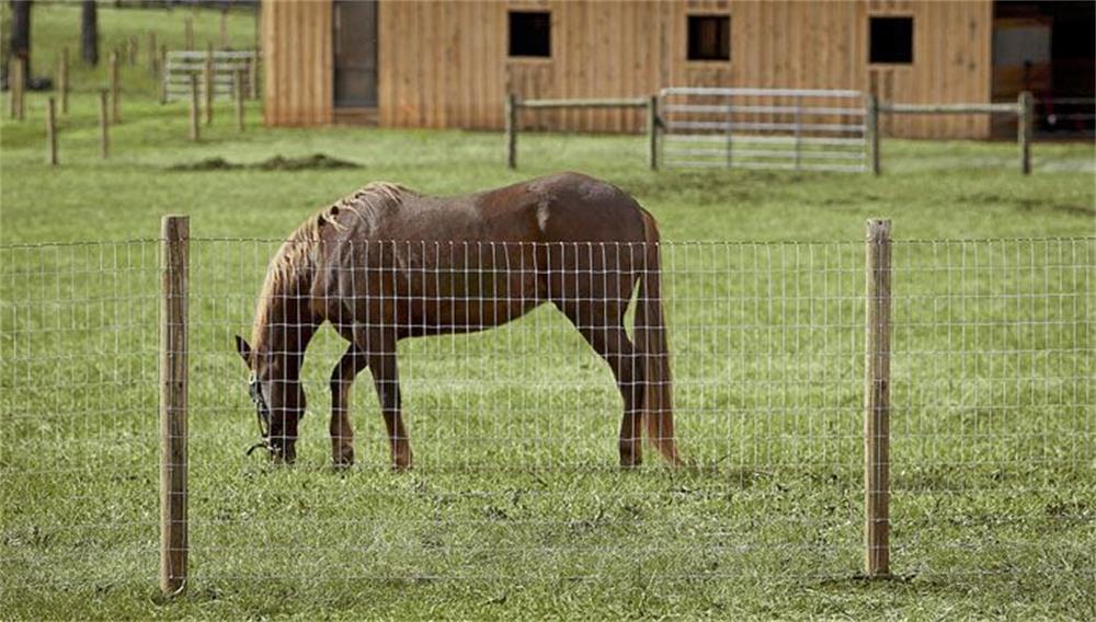 the complete guide for installing electronic fences