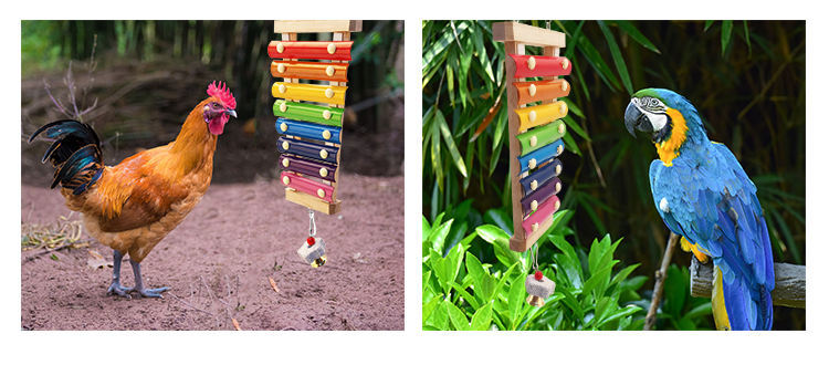 Chicken Xylophone Toy