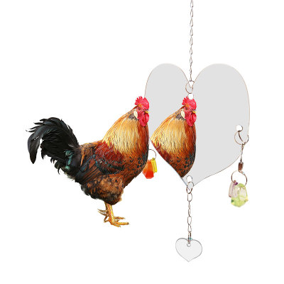 Acrylic Chicken Mirror Toys, Hens Coop Mirror Toys, Poultry Coop Mirror Toys