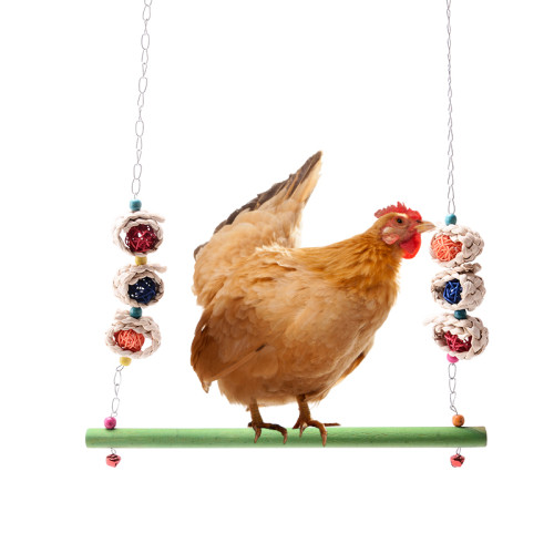 Chicken Ladders Swing Toys, Poultry Coop Toys, Chicken Coop Laddders Swing