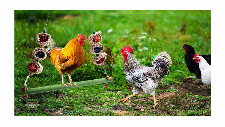 Poultry Netting: Best Kind To Buy