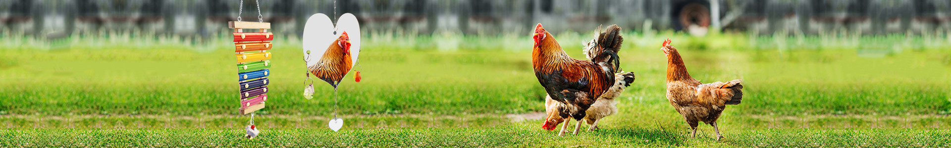 Chicken Coop toy