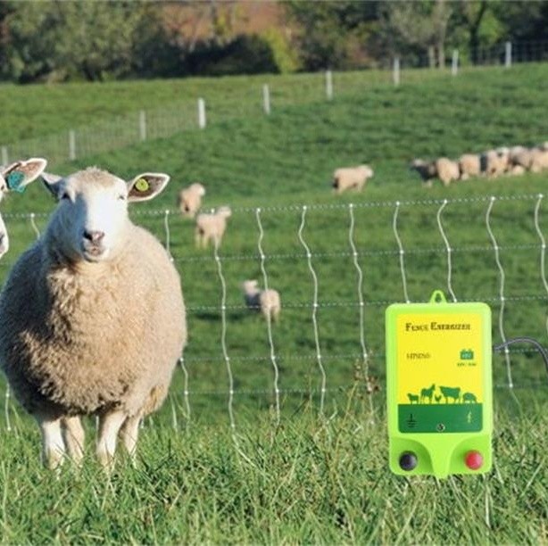 What to Consider When Choosing an Electric Fence Energizer?