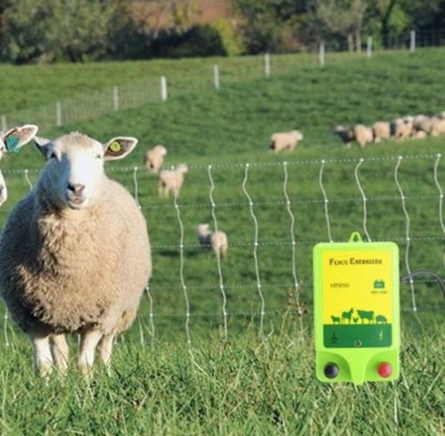 What to Consider When Choosing an Electric Fence Energizer?