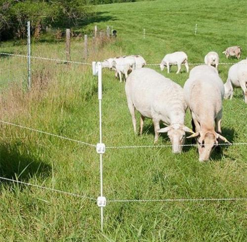 How to Determine Unidentified Faults by Inspecting Electric Fences?