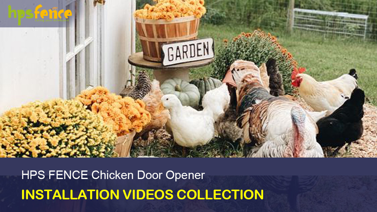 Installationsvideos Sammlung verschiedener Modelle von Hühnertüröffnern