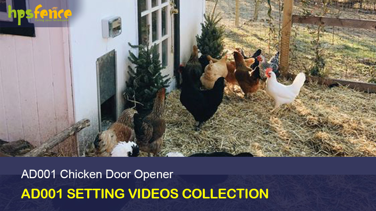 AD001 Chicken Coop Door Opener Videos Collection