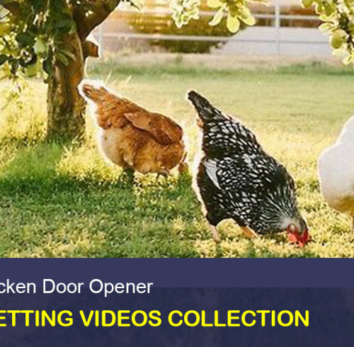 AD002 Chicken Coop Door Opener Videos Collection