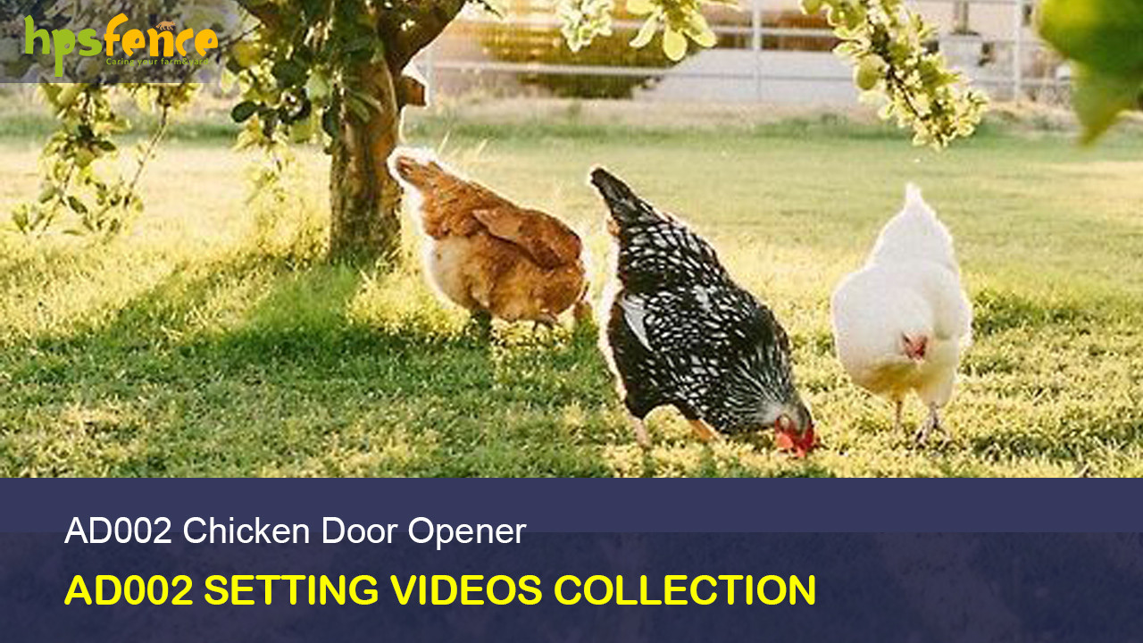AD002 Chicken Coop Door Opener Videos Collection