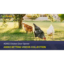 AD002 Chicken Coop Door Opener Videos Collection