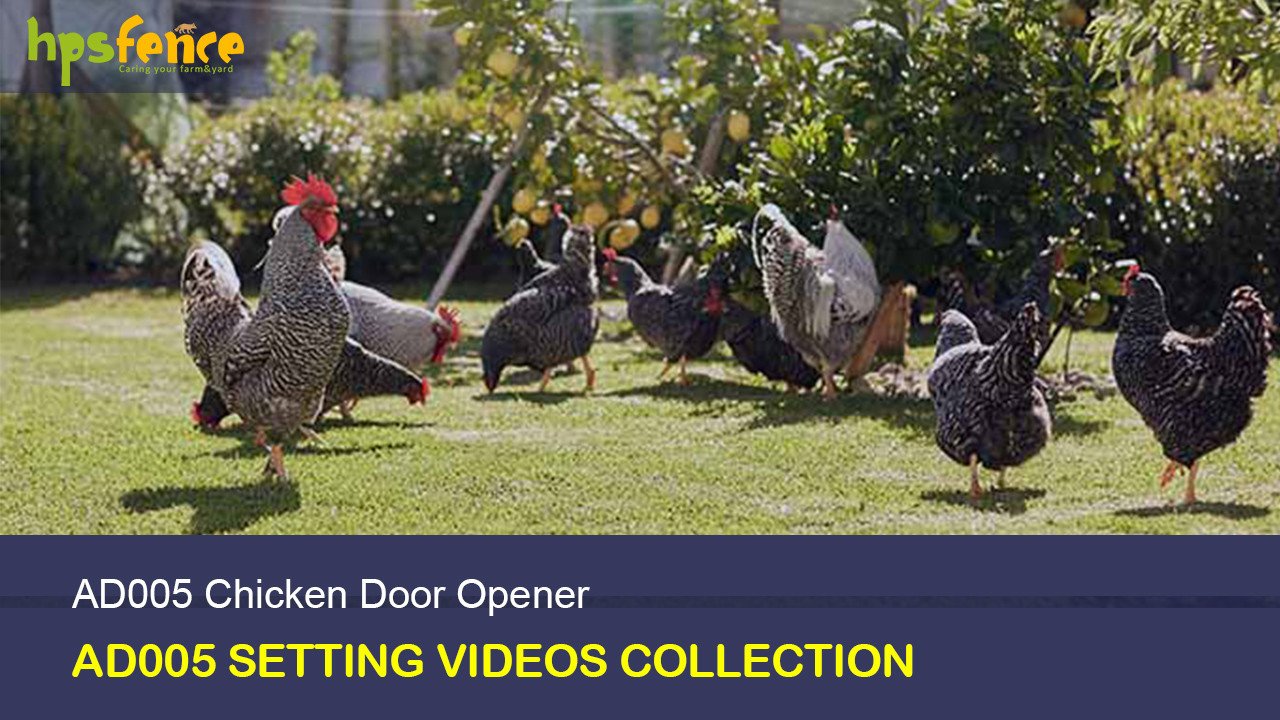AD005 Chicken Coop Door Opener Videos Collection