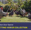AD005 Chicken Coop Door Opener Videos Collection